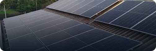 Placa Monocristalina